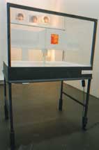 object